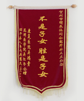 不是子女 胜是子女